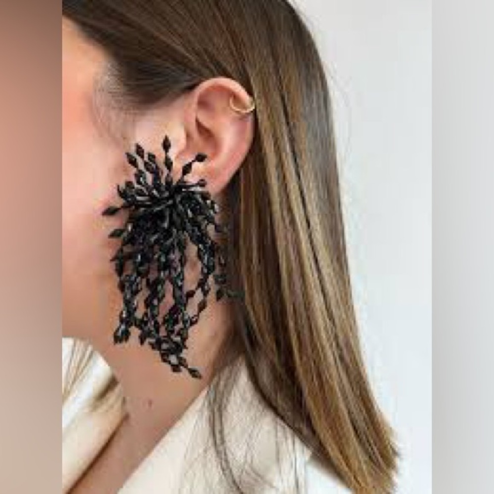 Bold Black Statement Earrings - image 1